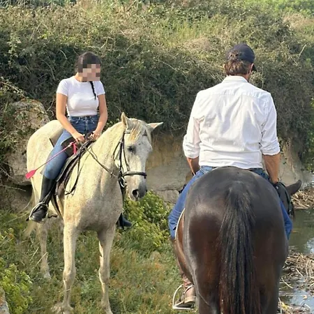 Casa vacanze Casa Costa & Crines