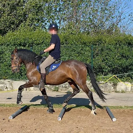 Casa Costa & Crines *