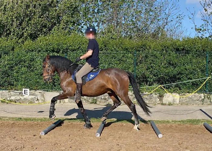 Casa Costa & Crines *